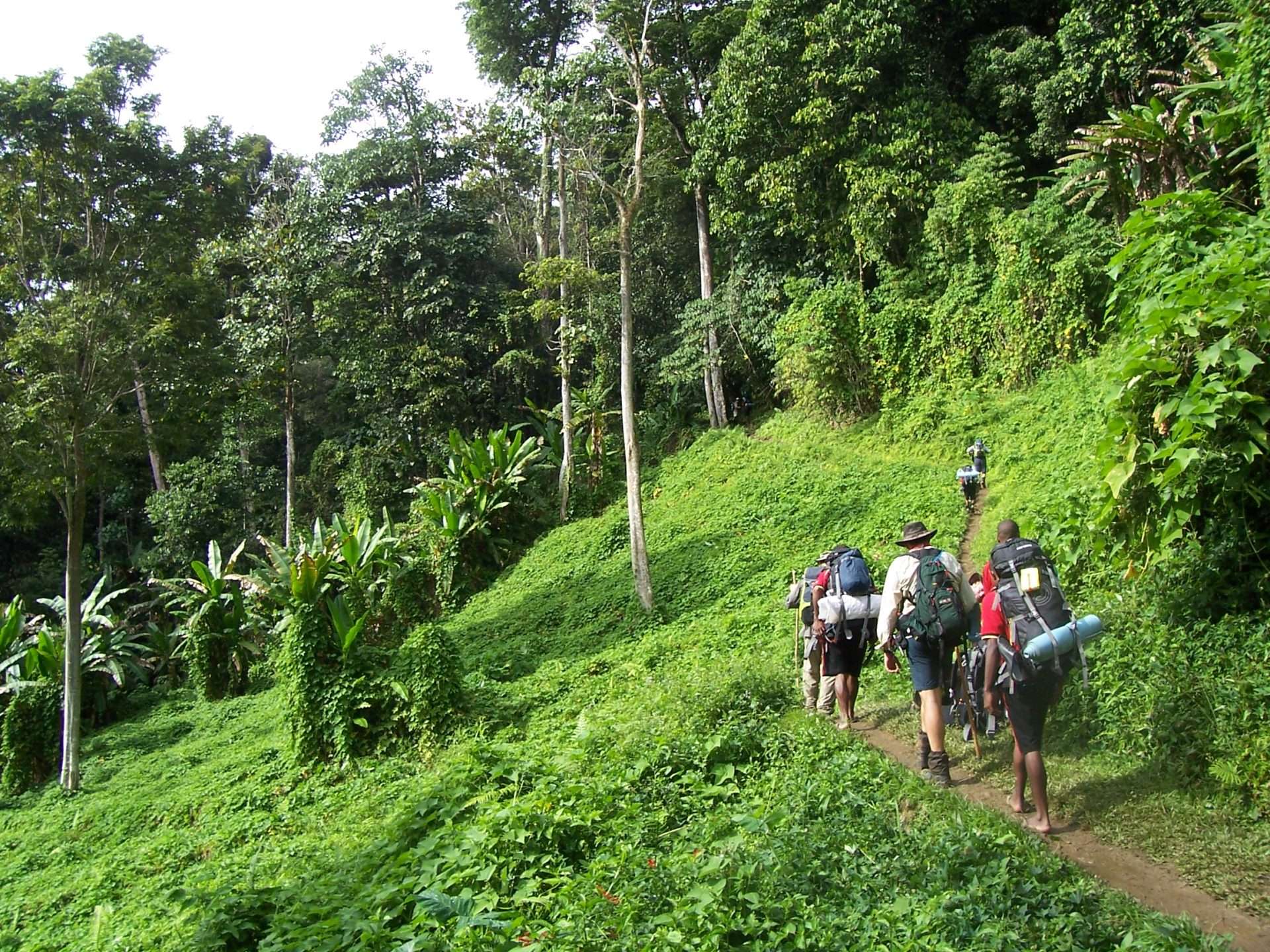 Kokoda Track